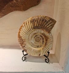 filter: 0; fileterIntensity: 0.0; filterMask: 0; brp_mask:0;
brp_del_th:null;
brp_del_sen:null;
module: photo;
hw-remosaic: false;
touch: (-1.0, -1.0);
sceneMode: 8;
cct_value: 3208;
AI_Scene: (-1, -1);
aec_lux: 935.0;
aec_lux_index: 213;
albedo: ;
confidence: ;
motionLevel: 0;
weatherinfo: null;
temperature: 38;